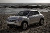 2011 Nissan Juke Picture