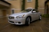 2010 Nissan Maxima Picture