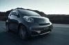 2014 Scion iQ Picture