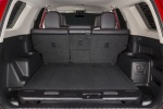 Picture of 2015 Toyota 4Runner Trail Trunk in Black
