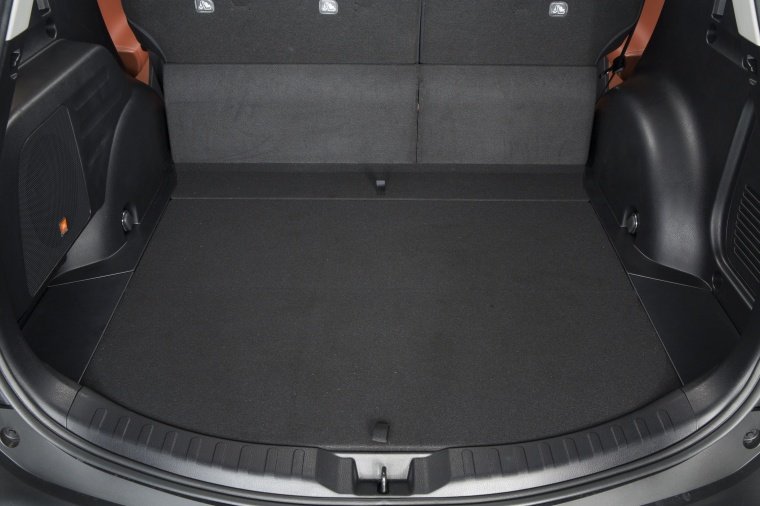 2015 Toyota RAV4 Limited Trunk Picture