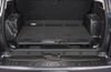 Picture of 2010 Toyota 4Runner Limited Trunk
